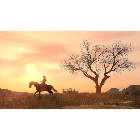 Đĩa Game Red Dead Redemption PS4
