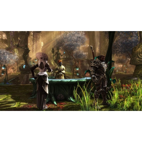 Băng Game Kingdoms of Amalur Re-Reckoning Nintendo Switch