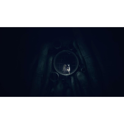 Đĩa Game REANIMAL PS5