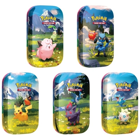 Pokemon TCG : Mega Evolution Ascended Heroes Mini Tin Display