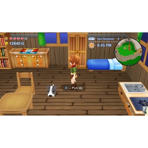 Băng Game Harvest Moon: The Lost Valley & Skytree Village Nintendo Switch
