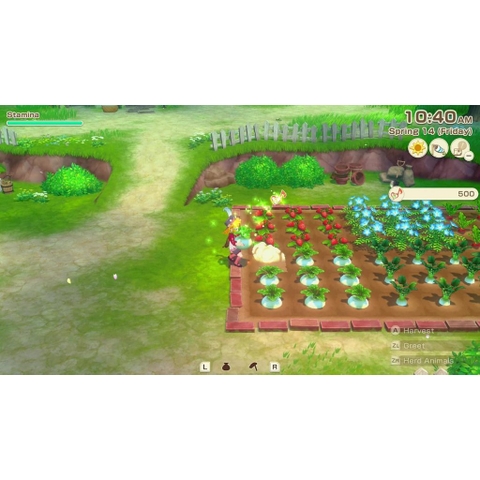 Băng Game Story of Seasons Grand Bazaar Nintendo Switch
