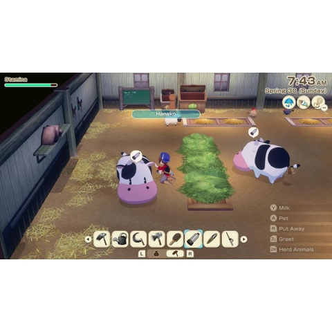 Băng Game Story of Seasons Grand Bazaar Nintendo Switch