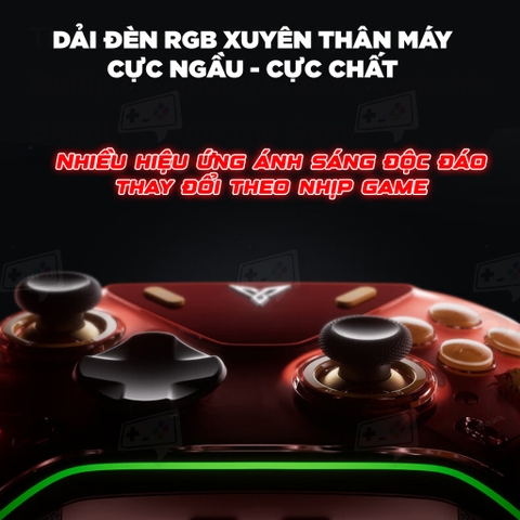 Tay cầm Flydigi Apex 5 phiên bản EVA Limited Edition