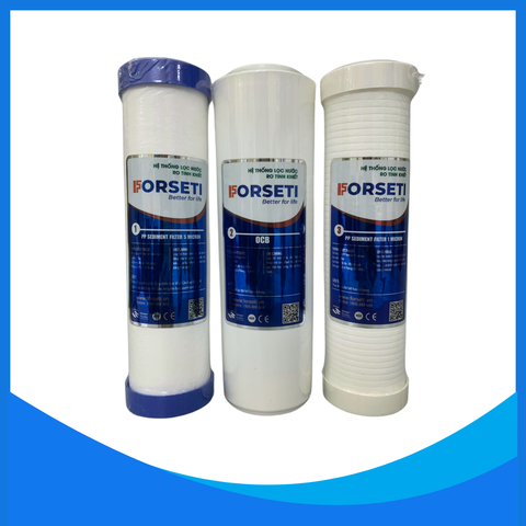Lõi lọc Forseti