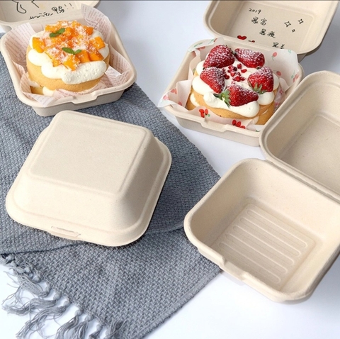 50 Hộp Bento bã mía - Vuông