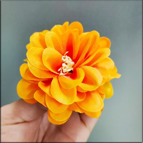 Hoa cúc pháp - Cam đậm