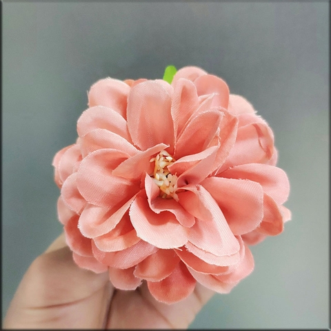 Hoa cúc pháp - Hồng cam