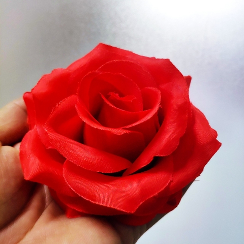 Hoa hồng xoăn - Đỏ