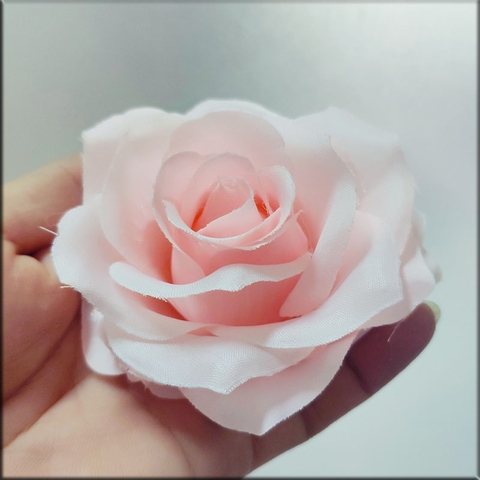 Hoa hồng xoăn - Hồng nhạt