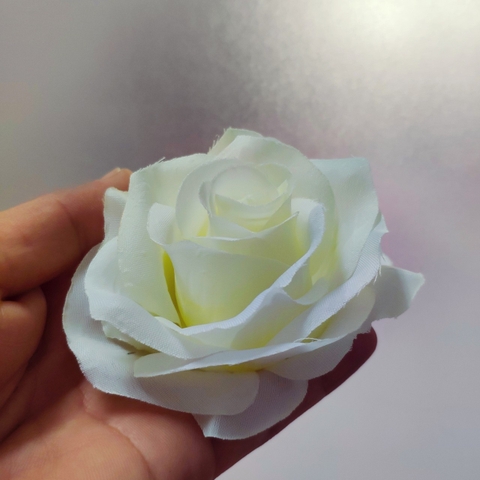 Hoa hồng xoăn - Trắng