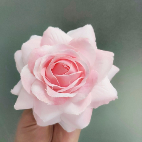 Hoa hồng nhọn - Hồng