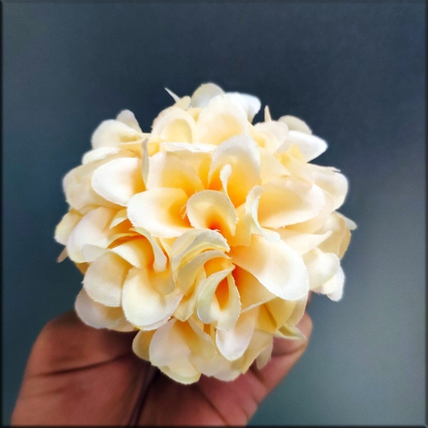 Hoa tú cầu nhí - Cam nhạt