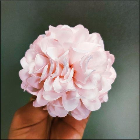 Hoa tú cầu nhí - Hồng nhạt