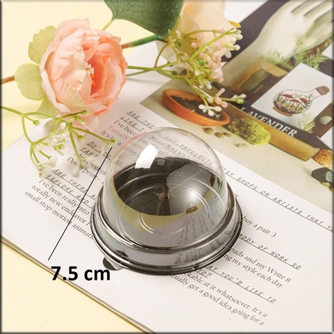 50 Hộp hình cầu - Đế Đen