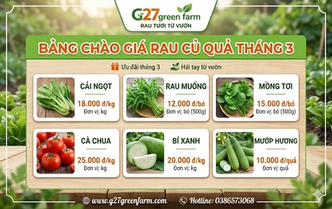 Bảng giá áp dụng tháng 03/2026