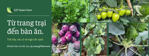 Bảng giá áp dụng tháng 02/2026