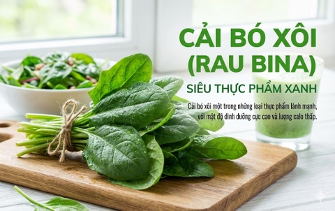 Cải Bó Xôi (Rau Bina) Siêu Thực Phẩm Xanh