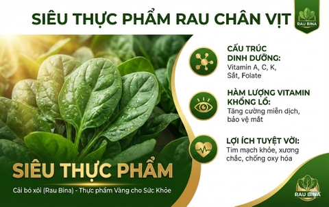 Cẩm Nang Cải Bó Xôi: DINH DƯỠNG & MÓN NGON