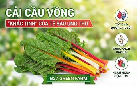 Cải Cầu Vồng - Khắc tinh của tế bào ung thư, tốt cho xương