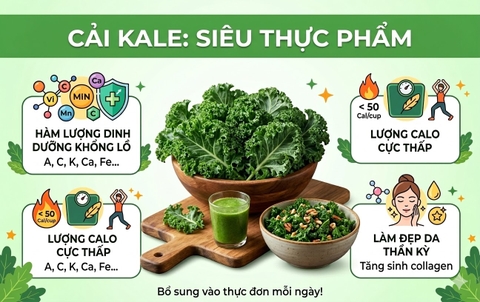 Cải Kale: Vua Của Các Loại Rau Xanh
