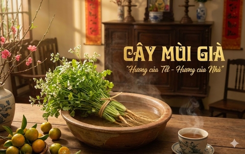 Mùi Già: Hương Của Tết, Hồn Của Ký Ức