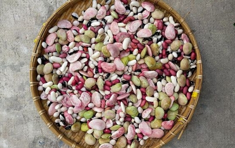 Đậu mix tươi