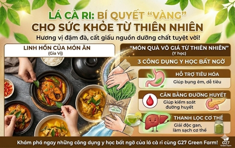 Lá Cà Ri: Không Chỉ Là Gia Vị Mà Là 