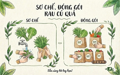 Sơ chế đóng gói rau củ quả