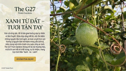 The G27 From Gardens