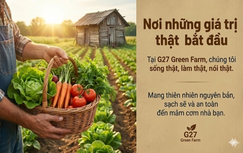 Truy suất nguồn gốc