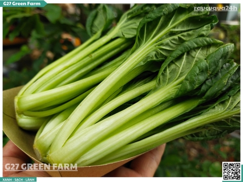 Cải hoa hồng 300g