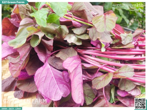 Rau dền đỏ 300g