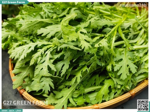 Rau tần ô (Cải cúc)