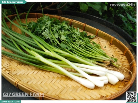Rau nêm hành ngò 100g