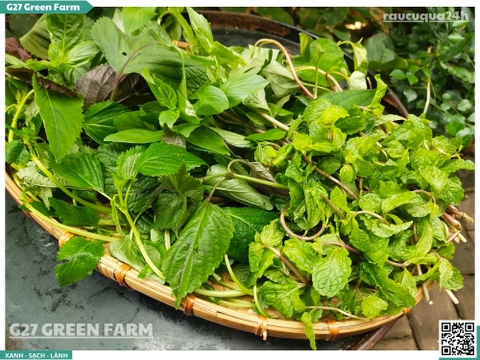 Rau thơm mix (tổng hợp)