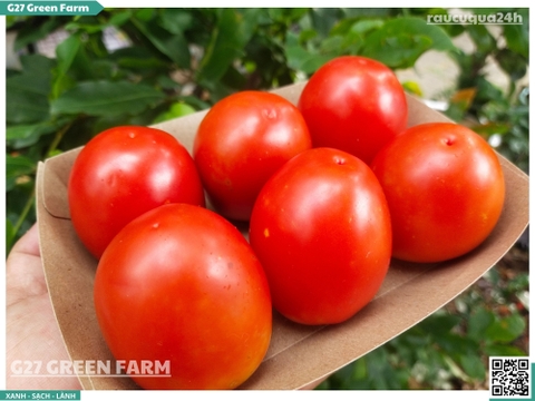 Cà chua rita size 8 - 10 trái /kg