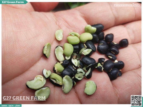 Đậu đen xanh lòng