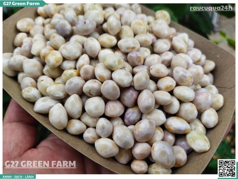 Đậu cúc rằn tươi