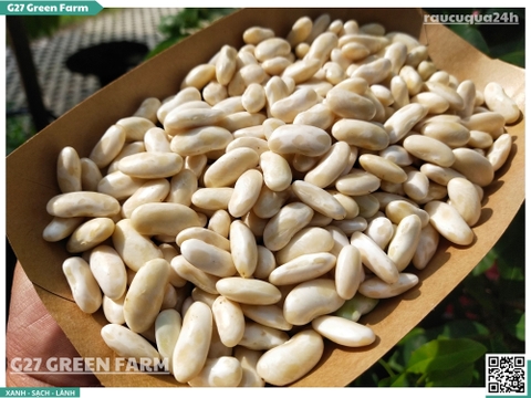 Đậu trắng tươi