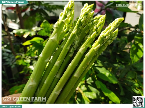 Măng tây loại 2 500g