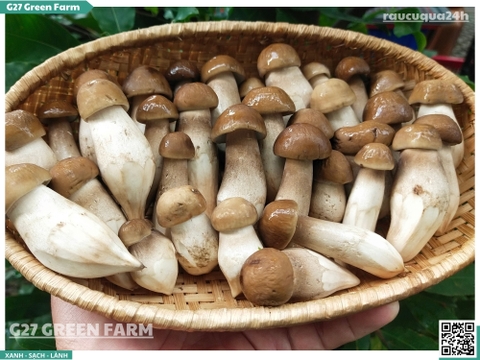 Nấm mối đen vip