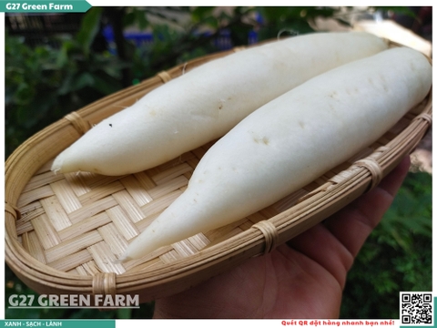 Củ cải