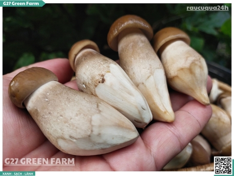 Nấm mối đen vip 200g