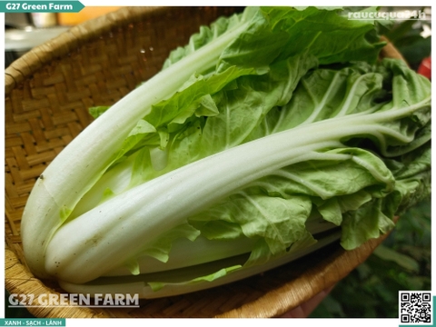 Cải bẹ nhúng 1 cây