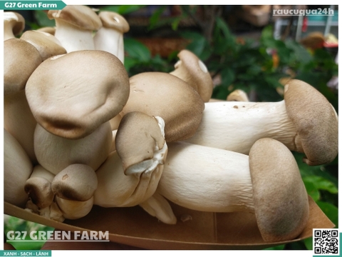 Nấm đùi gà nhỏ 200g