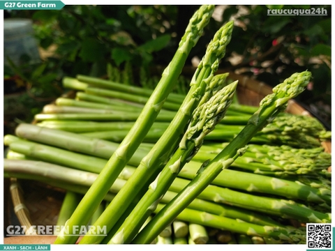 Măng tây loại 3 500g