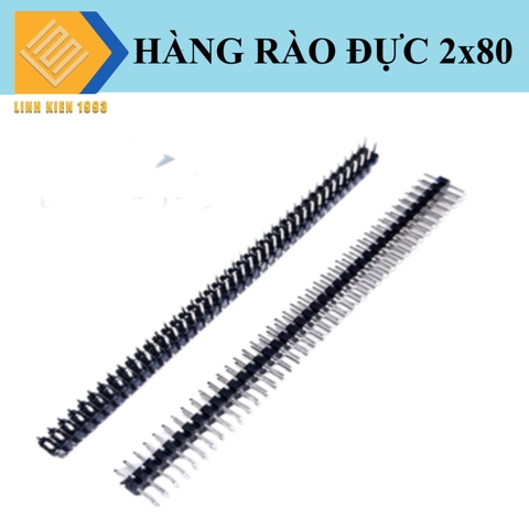 Hàng rào đực đôi 2.0mm 80 chân 2 hàng