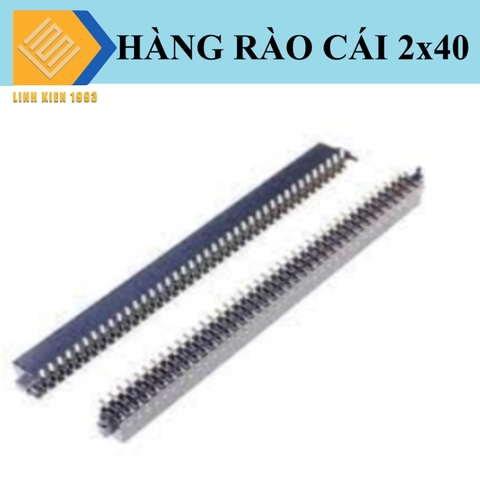 Hàng rào cái đôi 1.27mm 40 chân 2 hàng SMD
