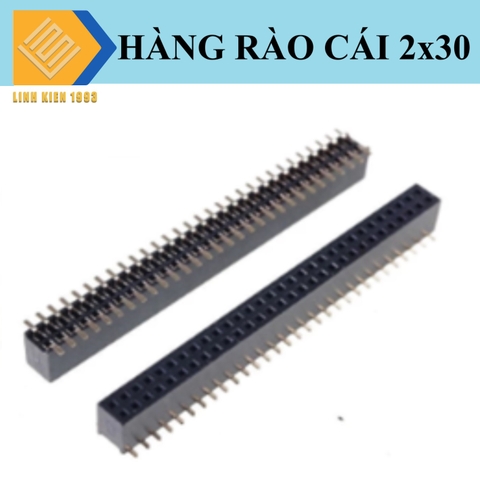 Hàng rào cái đôi 1.27mm 30 chân 2 hàng SMD